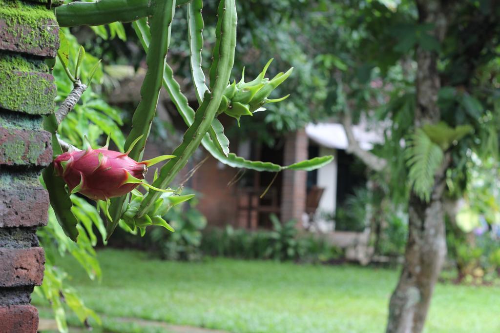 Timbis Homestay Bali Нуса Дуа Екстериор снимка